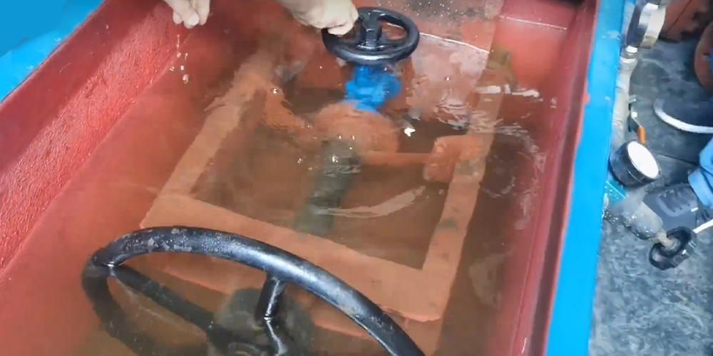 FLOWX-How to Test Valves2 FLOWX-Come testare le valvole2