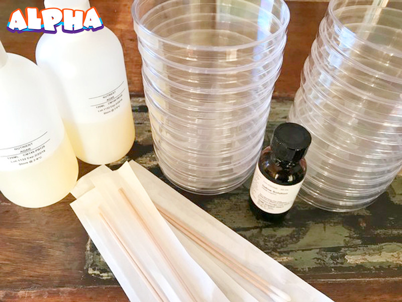 Alpha science classroom-explore bacteria growth-bacterial growth