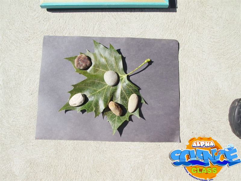 Sunlight printer picture (2)