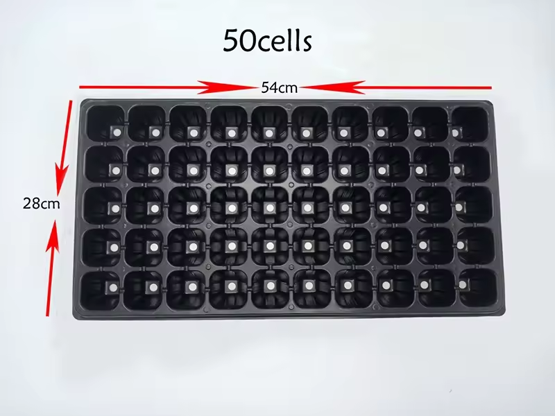 1711437090642 Full de RPET transparent per a l'envasament de blíster de safata de llavors