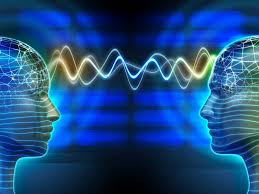 图片1 hình ảnh 1