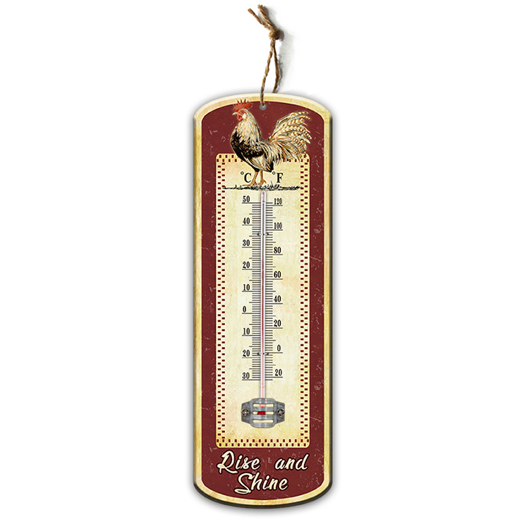 Manufacturer Supply Hot Selling Thermometer Wall Thermometer