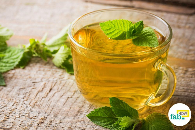 Green Tea Extract271 Chiết xuất trà xanh271