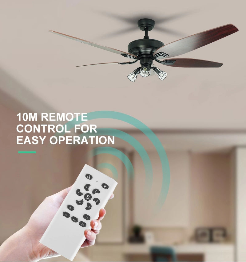 ceiling fan remote control  