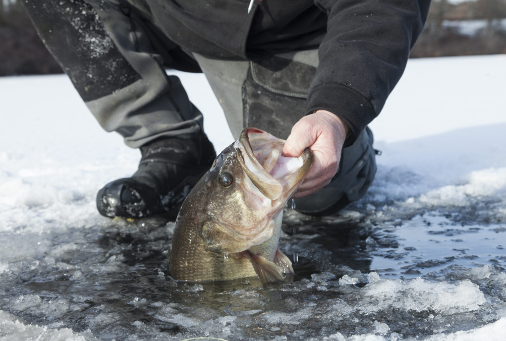 fish finder FFW718 241207