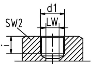 DIN ISO 228 Female Thread