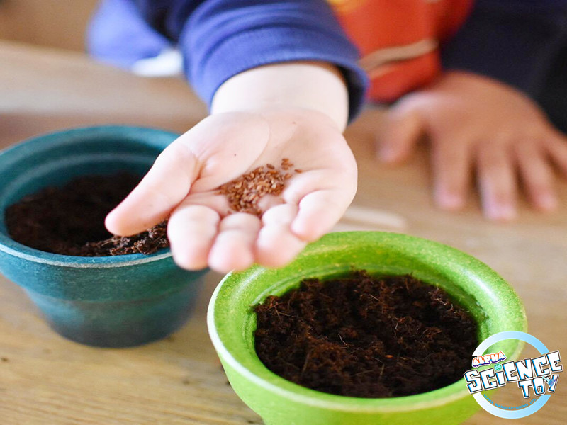 Alpha science toys Green plant toys bring unlimited vitality to