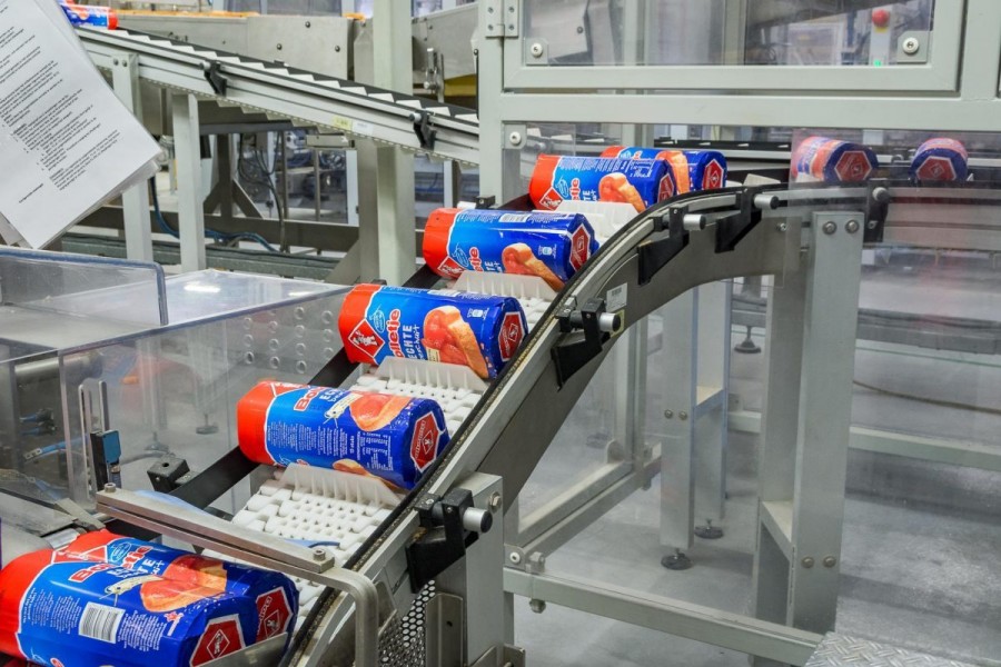 Chain Conveyor Systems Sustavi lančanih transportera