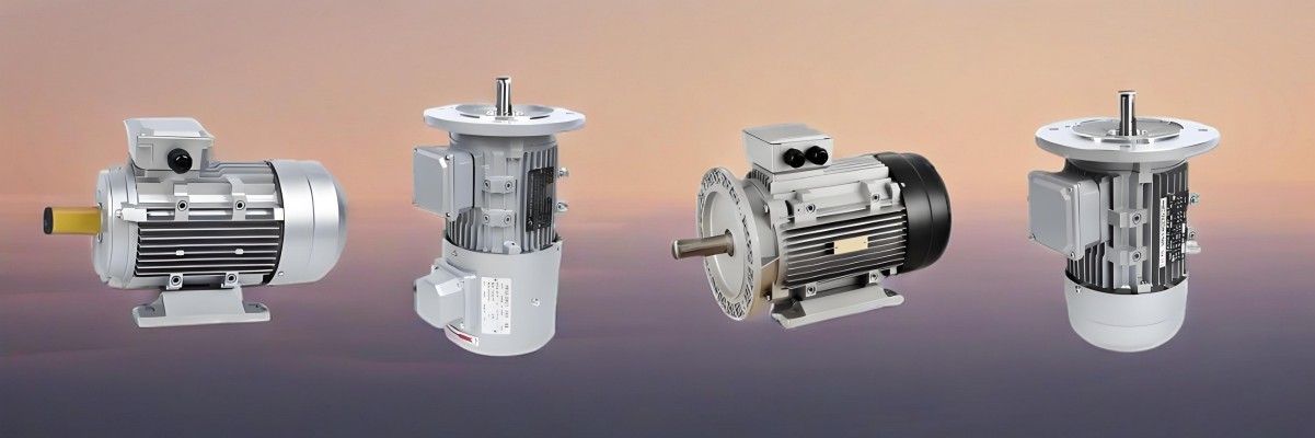Aluminium Housing Induction Motor Động cơ cảm ứng vỏ nhôm