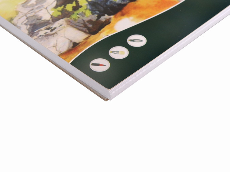 Watercolour Pad 180gsm 24 Sheets Wire Bound Colored Cover A3 A4 A5 8K 16K 9x12''