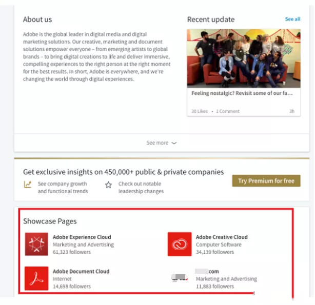 LinkedIn账号 LinkedIn账号