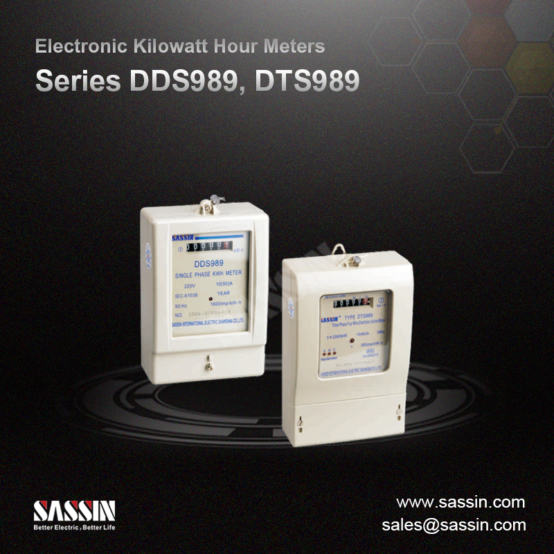 Contadores electrónicos de kilovatios-hora serie DDS989/DTS989