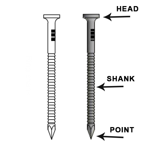 the parts of nails části nehtů