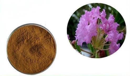 Banaba Extract (Corosolic Acid) Ekstrak Banaba (Asam Korosolat)