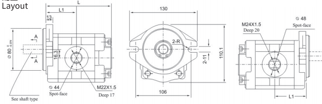 DSG06 Series Gear Pump pic Zubové čerpadlo řady DSG06 obr