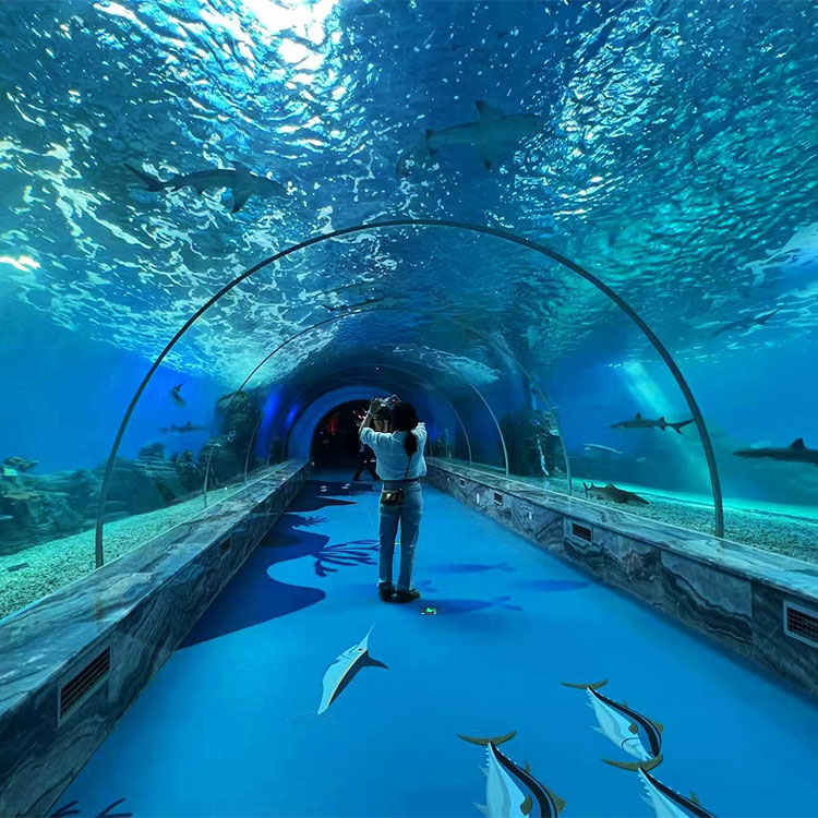 Acrylic Tunnel Aquarium - Utengenezaji