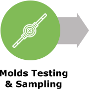 Tests de moules et &eacute;chantillonnage