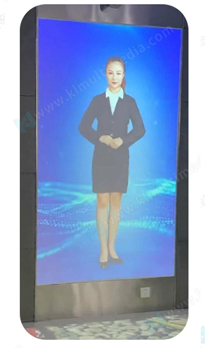 العارضات الافتراضية