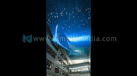 إسقاط السيكلوراما