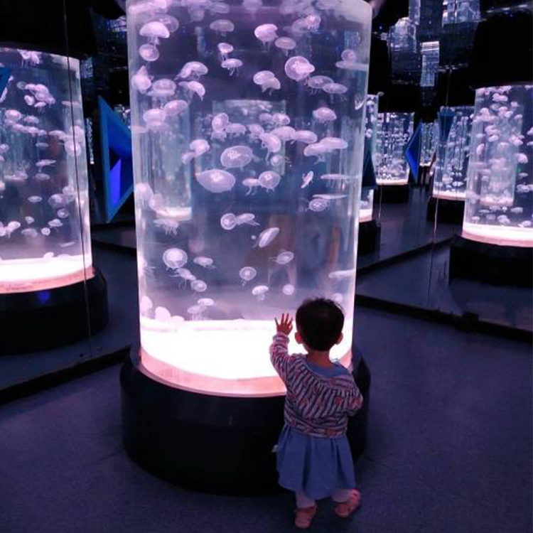 Jellyfish akwatin ruwa - Leyu