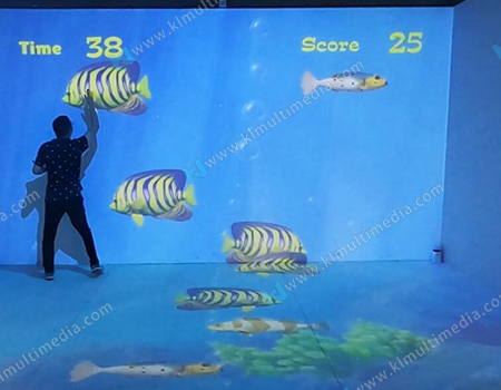 The underwater world