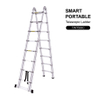 Telescopic Ladder - TWT500C