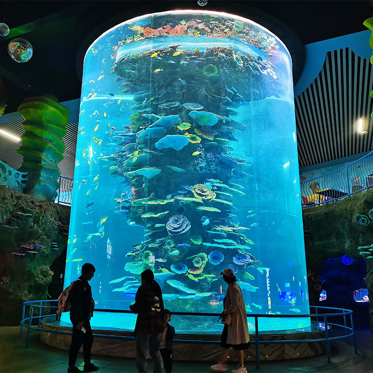 aquarium ya pande zote