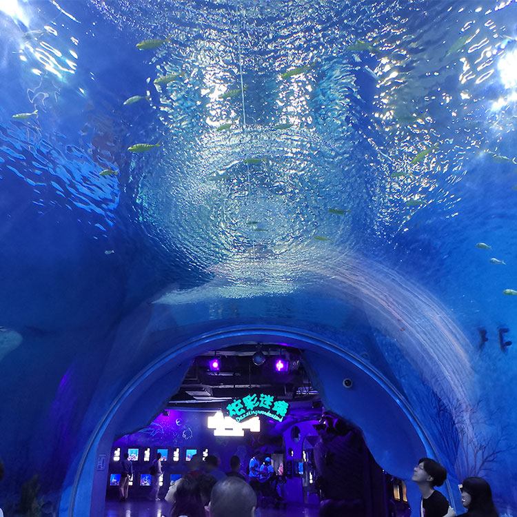 Leyu aquarium tunnel