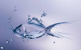 Vorteile von Fischkollagenpeptiden
