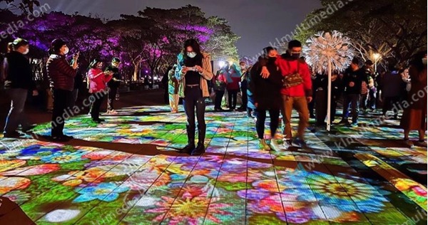 ضوء الإسقاط