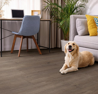 fabbrica di pavimenti LVT