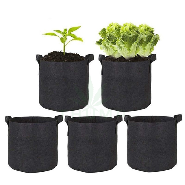 Hot Sale Fabric Plant Grow Bag for Indoor&outdoor Gardening