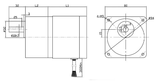 Spur Gear BLDC Motor