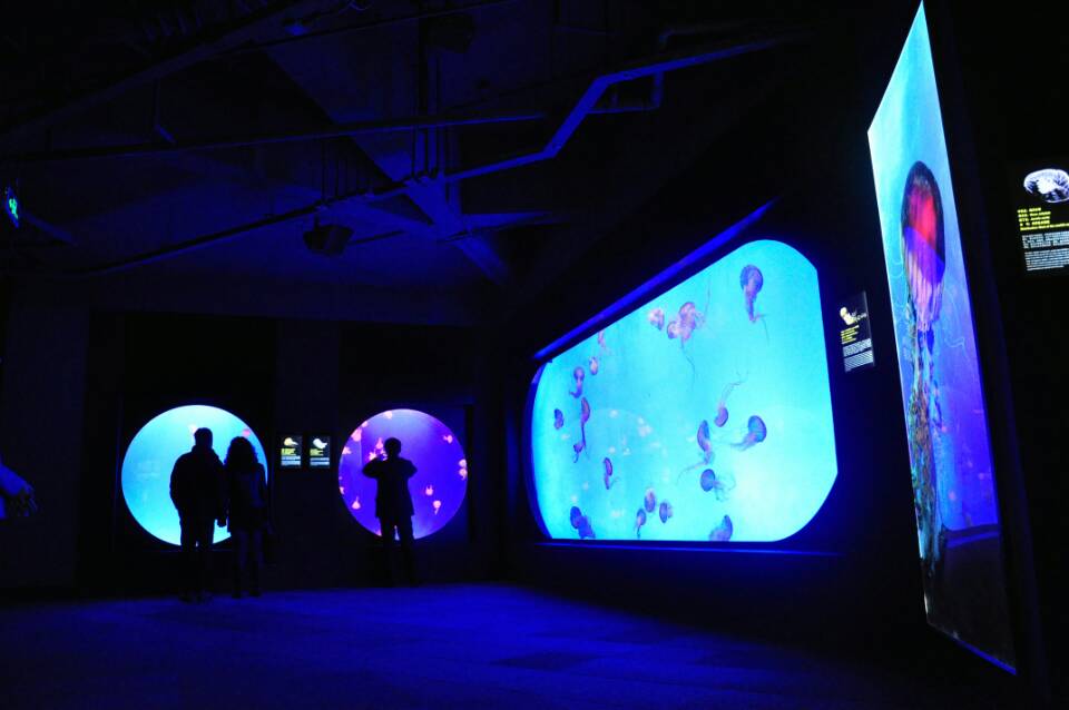 Taaka tire kiriaku - Hangahanga