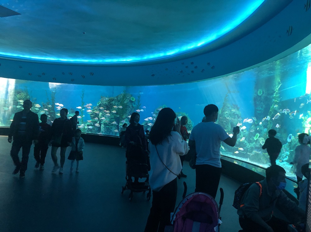 Mondo sottomarino di Fuzhou Yongtai per acquario acrilico (3)