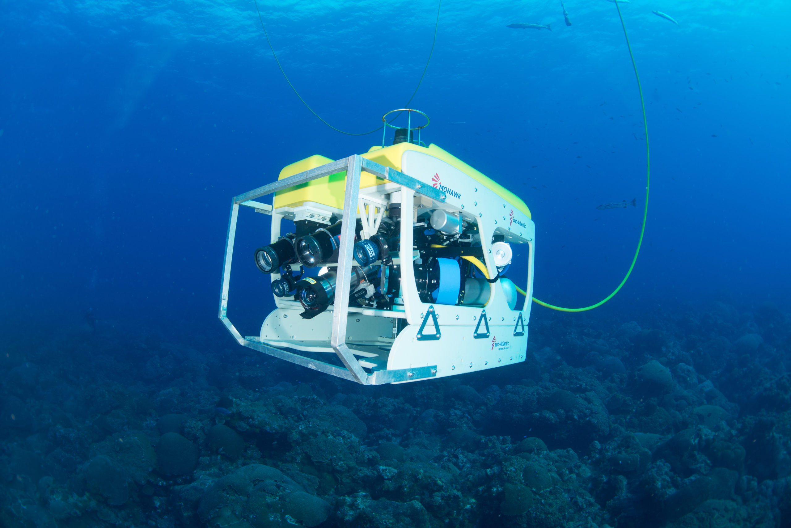 ROV (مركبة تعمل عن بعد)