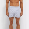 Mens pugil
