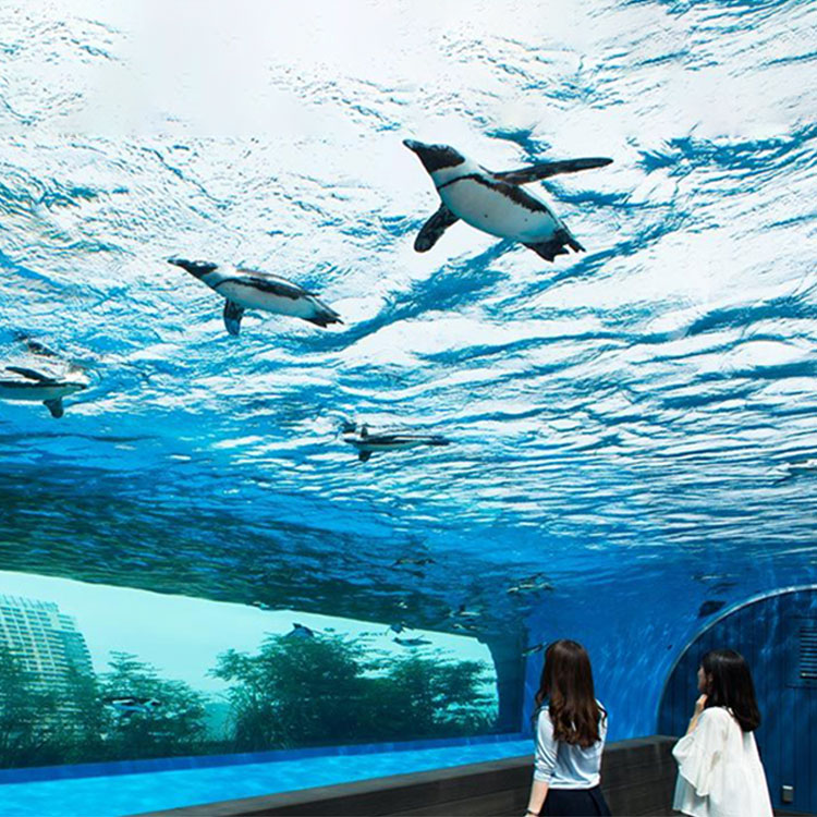 Pepa kiriaku ahua L - hanga