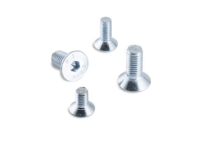 Sunk Screw