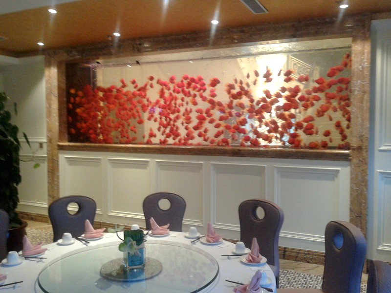 Depozita akrilike e peshkut me porosi - fabrika