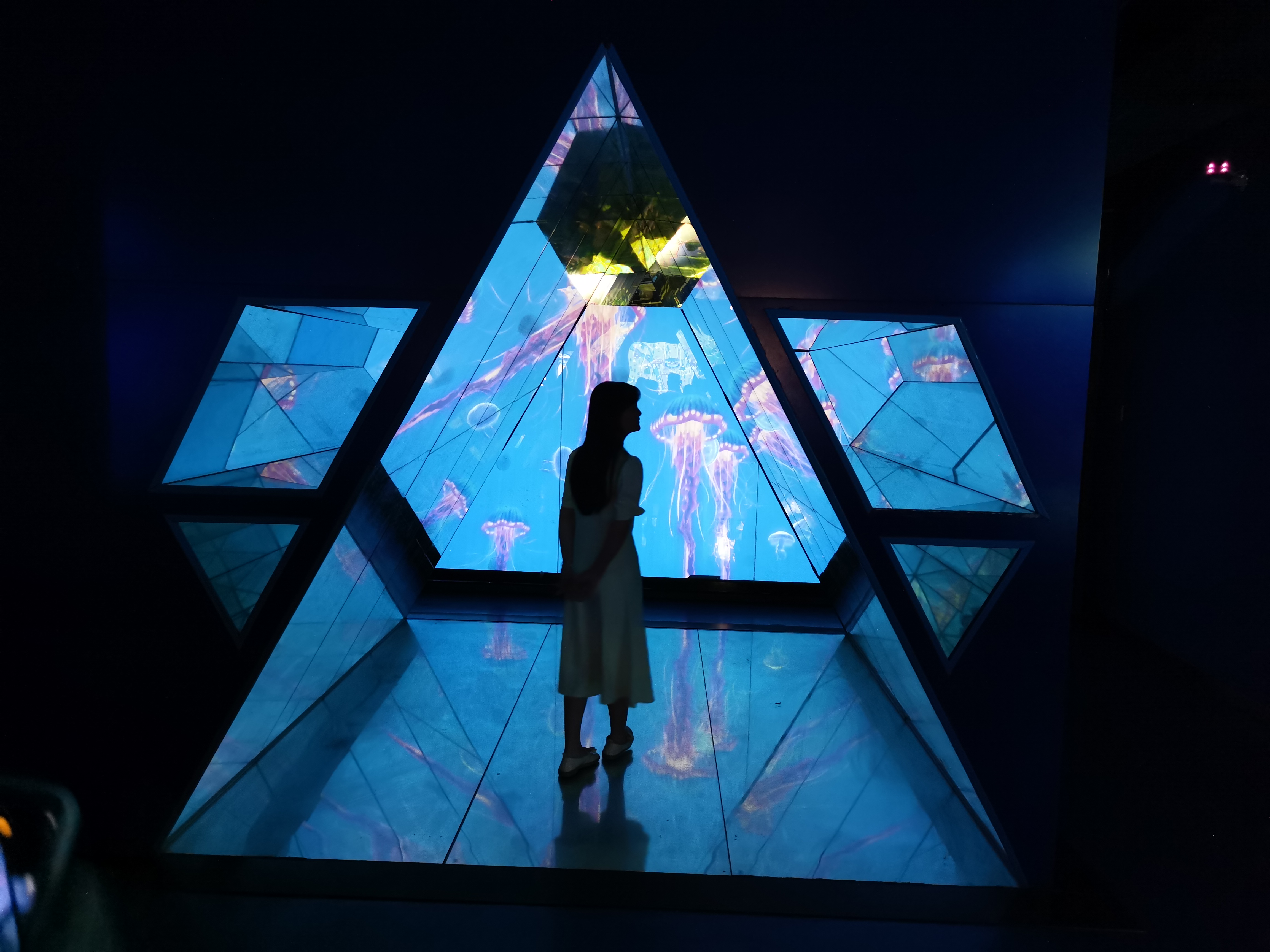 Akrilo medūzų akvariumas - dizainas