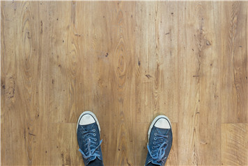 What’s the Wood Species of Flooring?