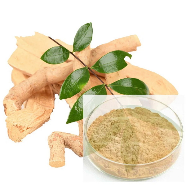 Topfabrikanten en leveranciers van Tongkat Ali-extracten in Calgary