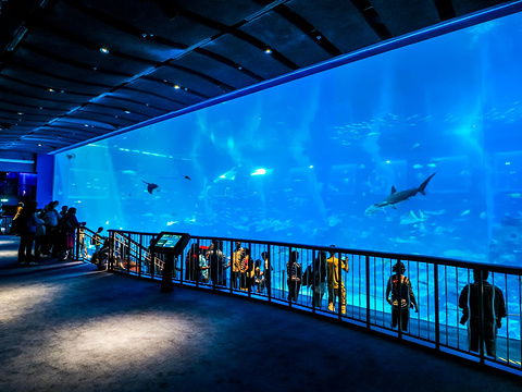 Acquario con finestra in acrilico - produzione