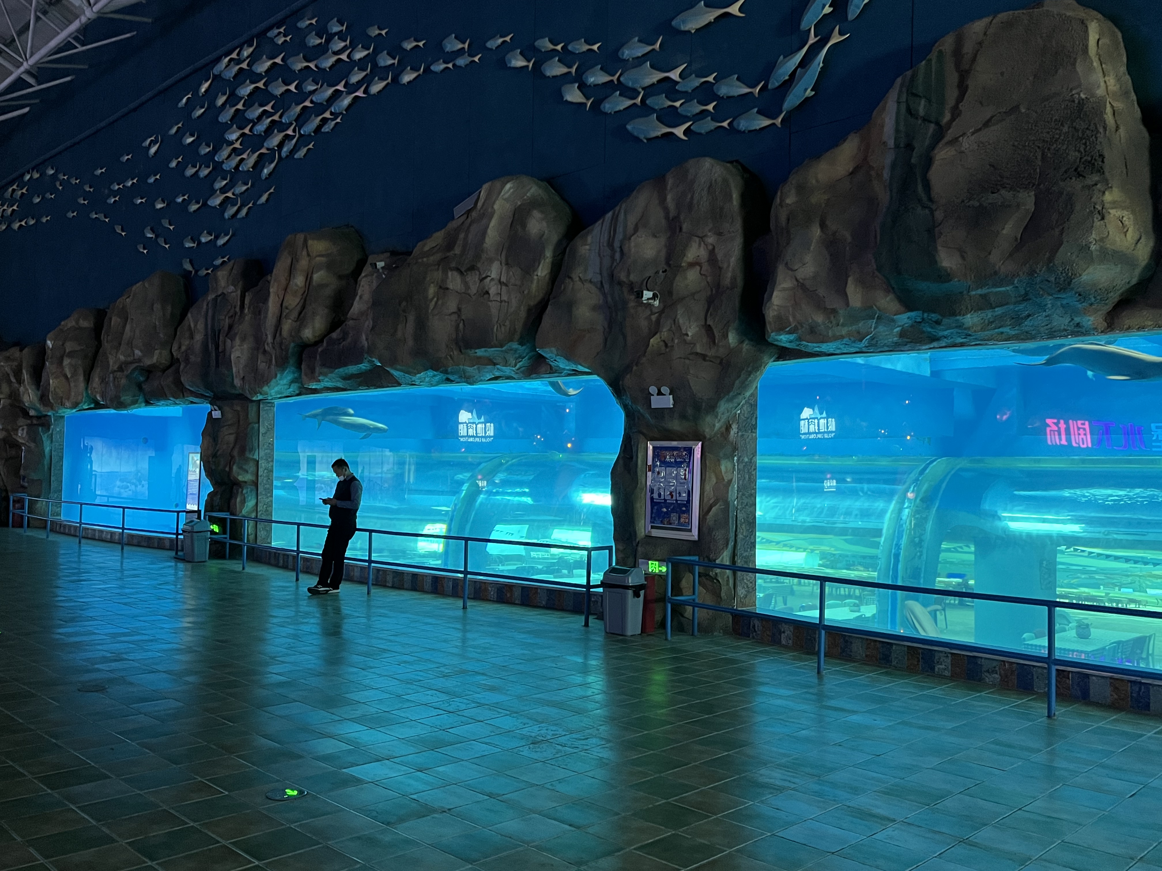 Aquarium puka aniani - LEYU ACRYLIC