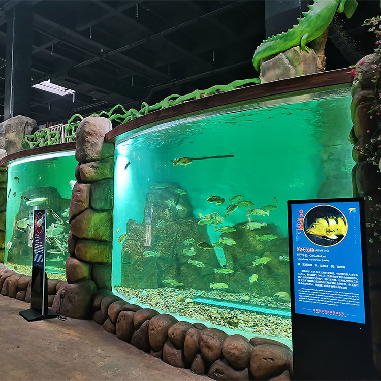 หน้าต่าง Leyu Arylic Aquarim