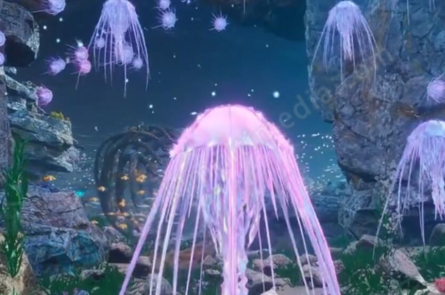 Dome Projection Video - sea world theme