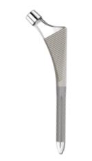 BB Stem