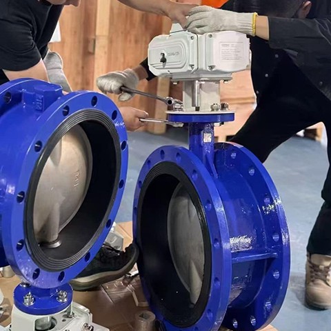 Exportateurs de vannes papillon Usine COVNA