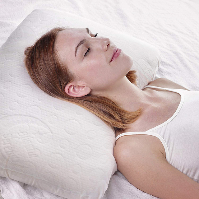 Healthy Memery Foam Sleeping Down Pillow 